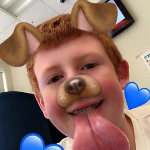 Meet your Posher, Joey